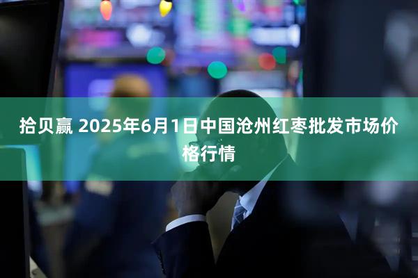 拾贝赢 2025年6月1日中国沧州红枣批发市场价格行情