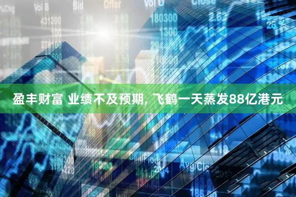 盈丰财富 业绩不及预期, 飞鹤一天蒸发88亿港元