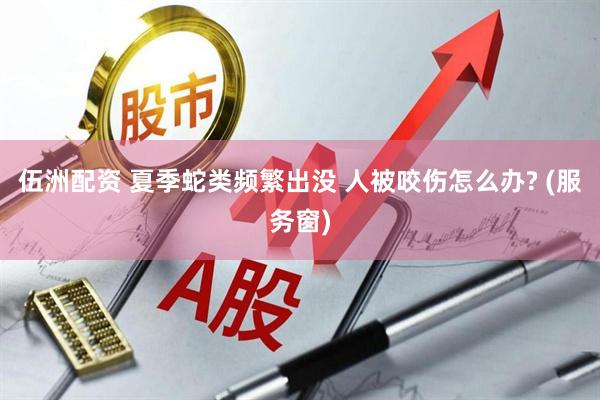 伍洲配资 夏季蛇类频繁出没 人被咬伤怎么办? (服务窗)