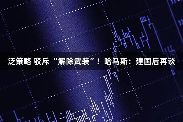 泛策略 驳斥 “解除武装”！哈马斯：建国后再谈