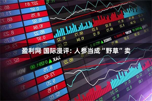 盈利网 国际漫评: 人参当成“野草”卖
