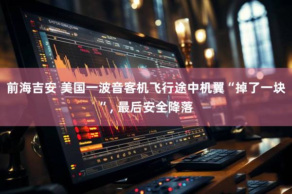 前海吉安 美国一波音客机飞行途中机翼“掉了一块”, 最后安全降落
